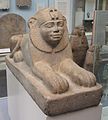 Sphinx of Taharqo