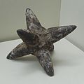 Ming dynasty caltrop weapon